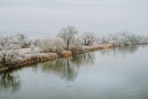 Göd-Szigetmonostor komp leállt: rekordalacsony Duna a ludas