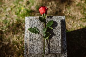Magyar Péter Sonnevend Pált jelöli alkotmánybírói posztra