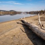 Tisza: Történelmi mélyponton a vízállás, tilos a hamvas temetés – Közélet | Budapest