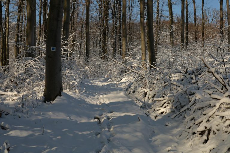 Duna-Dráva Nemzeti Park: 30 év, jelvénygyűjtő túrák új