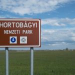Hortobágyi tűzvész: 96 hektárnyi terület égett le