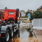 Súlyos veszély a népszerű kirándulóhelyeken: lezárások jönnek a kőrisvész miatt – Belföld | Pécs