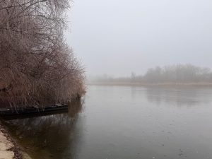 Tisza Párt: minden forint elköltve a kampányban