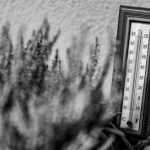 Hőségriadó: 37 fokig kúszhat a hőmérő, a miniszter is – Egészség | Pécs
