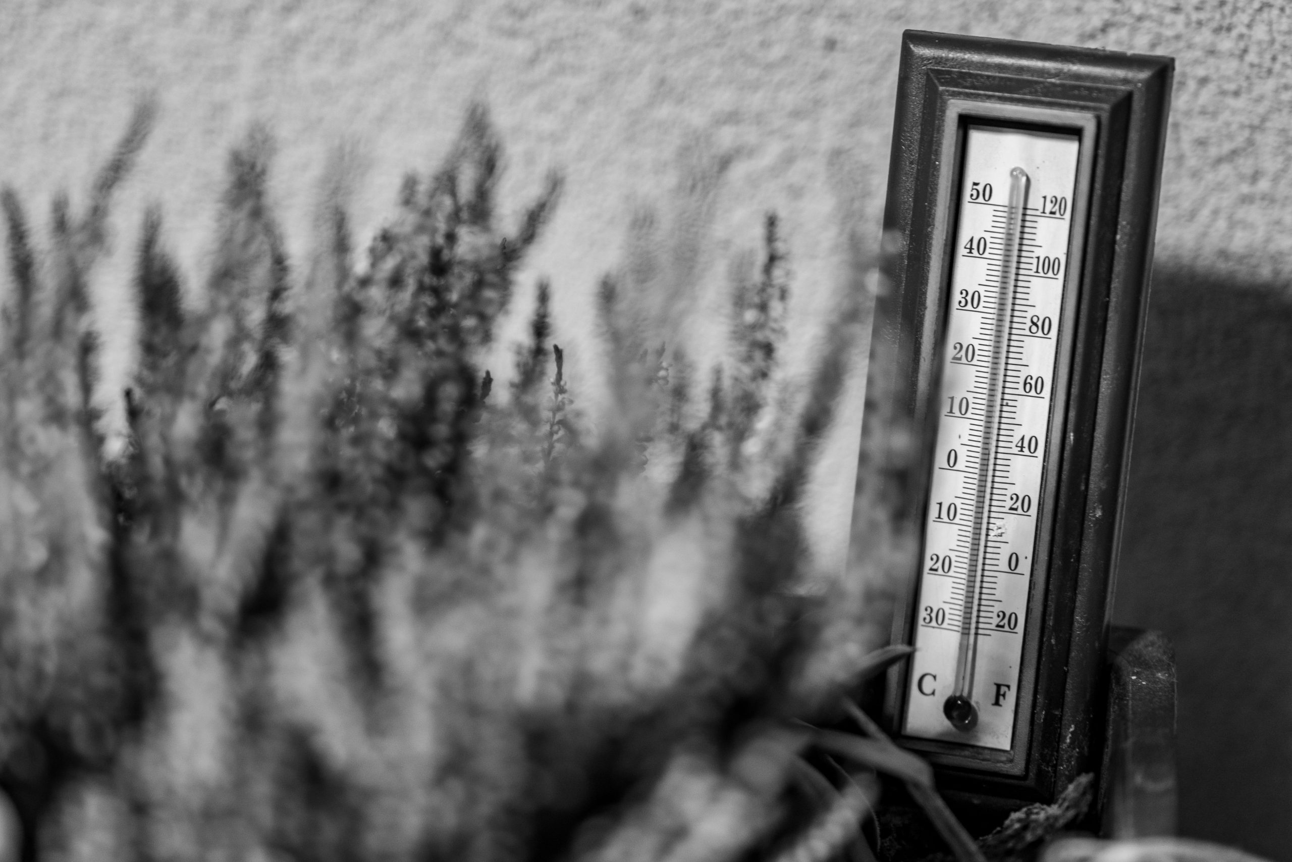Hőségriadó: 37 fokig kúszhat a hőmérő, a miniszter is – Egészség | Pécs
