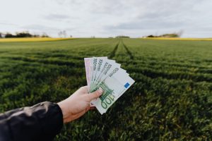 Foci-vb: 100 forintos Tippmix-tétből 151 ezer, milliók is jöttek