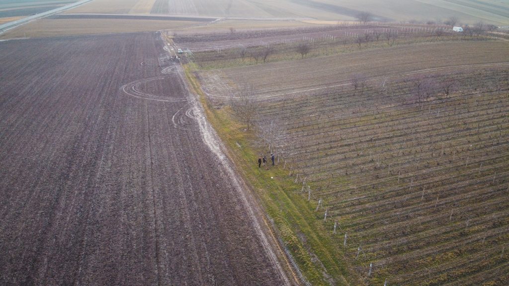 Vojvodina várja a Fradit: „99%-osan készen állunk” – Foci | Pécs