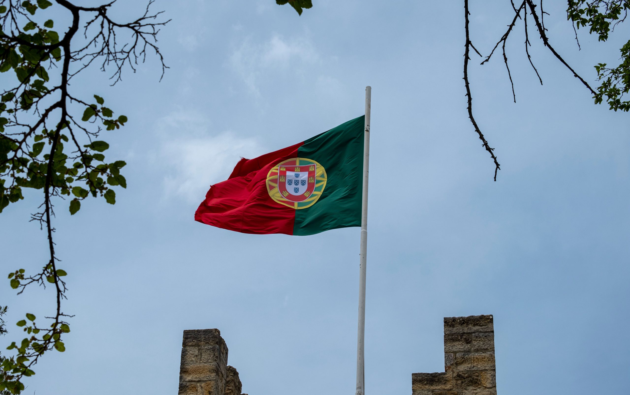 Jorge Jesus a portugál válogatott új szövetségi kapitánya – Foci | Pécs