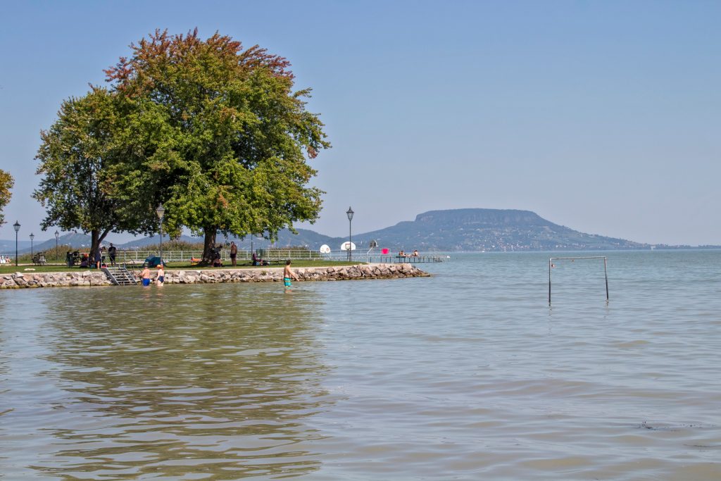 Elhalasztva a Balaton-átúszás: extrém időjárás miatt – Sport | Pécs