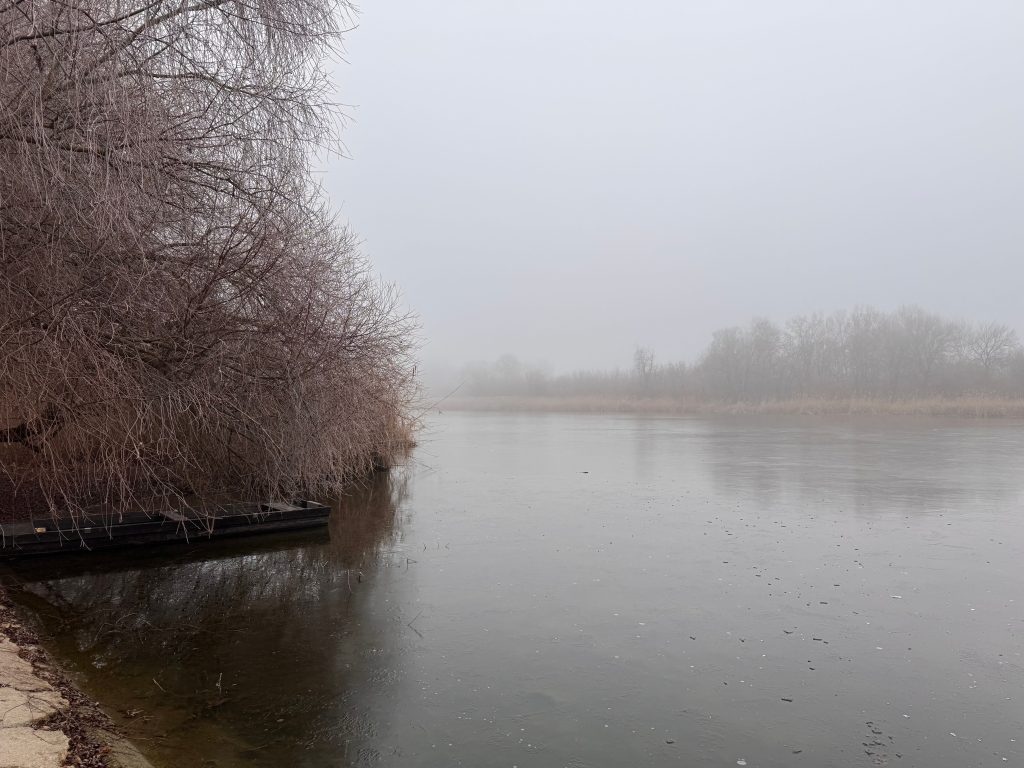 Tisza Párt: minden forint elköltve a kampányban – Országos politika | Szeged