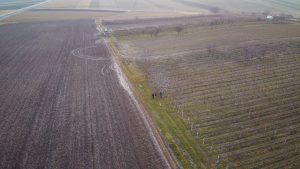 Vojvodina várja a Fradit: „99%-osan készen állunk”