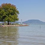 Elhalasztva a Balaton-átúszás: extrém időjárás miatt – Sport | Szeged