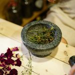 Herba Fest Zalaszentgróton: Ingyenes gyógynövényünnep a völgyben – Életmód | Szeged