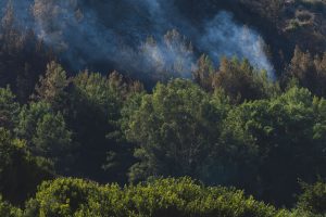 Tragédia Görögországban: Három tűzoltó vesztette életét