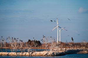 Elektrifikációs fordulat az EU-ban: versenyképesség